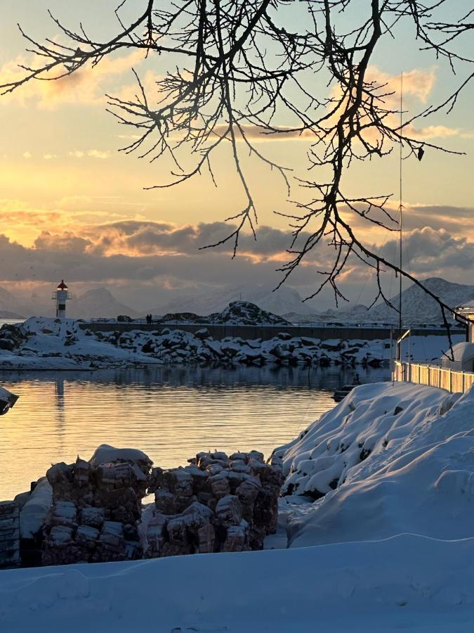 Lofoten Kabelvag-Small Apartment Eksteriør bilde